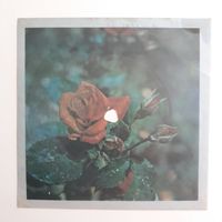 Гибкая пластинка с песней "Каракум" Исп. Игорь Саруханов. Студия звукозаписи Киев.