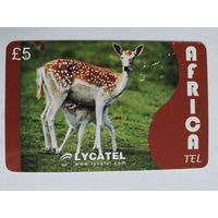 Телефонная карта. Турция