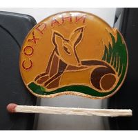 Сохрани. Ая-65