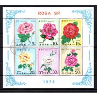Розы КНДР 1979 год 1 блок из 6 марок