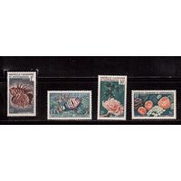 Новая Каледония-1959(Мих.,364 -367) , **  , Морская  Фауна, Рыбы(полная серия)