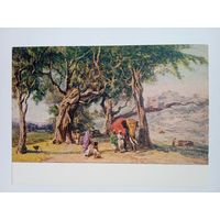 1955. Финогенов. Утром на дороге из г. Банглори в Майсор