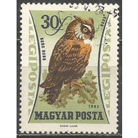 Венгрия. Птицы. Филин. 1962г. Mi#1881.