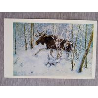 Комаров. Н облаве (Бегущий лось) 9 х 14
