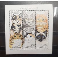 Танзания. Фауна. Кошки (1316)