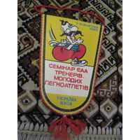 Вымпел украинский спортивный с рубля!