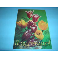 Беларусь. 2000 год. Цветы. Поздравляю. Белпочта