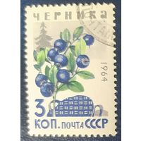 СССР 1964 черника, ягоды 1 из 7. наклейка