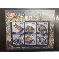 Сьерра-Леоне. 2015 год. Фауна. Черепахи. Блок (698)