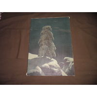 Картина На севере диком Шишкин репродукция на холсте.С рубля.