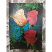 Открытка СССР чистая