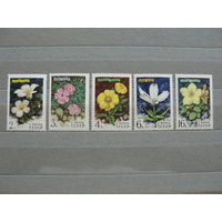 Продажа коллекции с 1 рубля! Чистые почтовые марки СССР в коллекционном** состоянии.