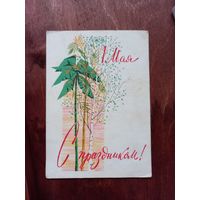 С праздником 1 мая Берёзка, пальма и тросник.  Жмуренков