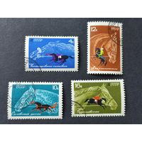 1968 СССР. Коневодство и конный спорт в СССР