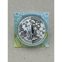 Лапчатка скальная. 20 рублей . Дуброўка скальная. 2017