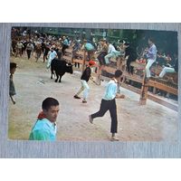 Этнография. Испания, памплона. Забег быков