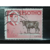 Лесото, 1967. Король Мошоэшо II и бык