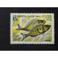 1983 СССР. Рыбы. 	Пятнистая зубатка