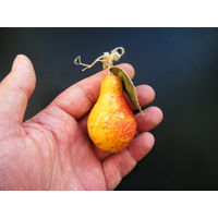 ГРУША папье маше  50-е годы. Из СССР.