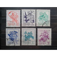 Польша 1974, Стандарт, цветы