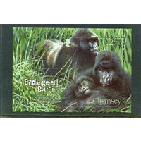 Великобритания. Гернси. Охраняемые виды животных. Восточная горилла. Блок