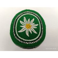 1-я горнопехотная дивизия Бундесвера