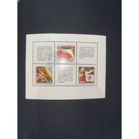 Система доставки космических сообщений Орбита