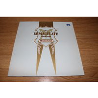Madonna - The Immaculate Collection - 2Lp