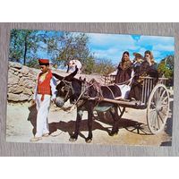 Этнография. Испания, Балеарские острова, Ибица. Типичная повозка