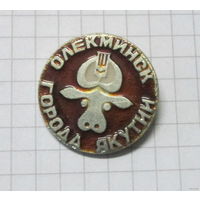 Олекминск. Города Якутии