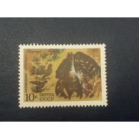 СССР 1975 г. Заповедник Столбы. Глухарь