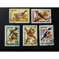 1981 СССР. Певчие птицы. Полная серия