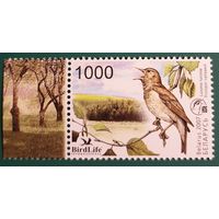 2007 Птица года в Беларуси - Соловей Беларусь