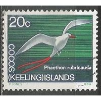 Кокосовые острова. Краснохвостый фаэтон. 1969г. Mi#16.