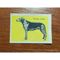 Спичечная этикетка Русская гончая