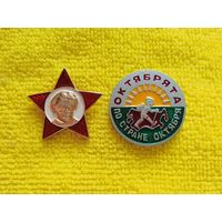 2 значка категории "Октябрята"