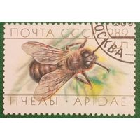 СССР 1989. Фауна. Пчелы