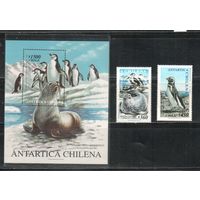 Чили-1999,(Мих.1894-1895, Бл.43) ** , Морская фауна, Антарктида(полная серия)