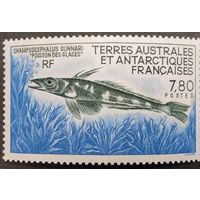 Французские антарктические территории. 1991г. Рыба.