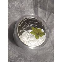 Калужница лотаць 999 серебро Идеальнейшая!!!