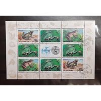 Корея. 1992 год. Фауна. Земноводные. Лягушки (сцепка 8 марок и купон) (1090)