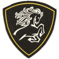 Нарукавный знак северо- кавказского округа ВВ МВД России