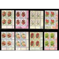 Беларусь. 2008. Стандарт. Садовые цветы (офсет) полный комплект **