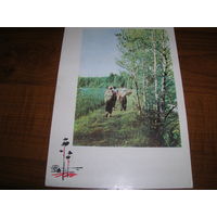 Открытка БССР 1965 год Нарочь. Туризм Подписана