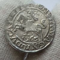 Паўгрош / полугрош 1565 г. Блеск! Качество!