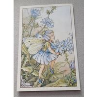 Посткроссинг. цикориевая фея  (10х15). Подписана.