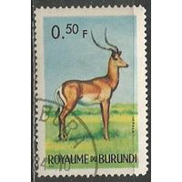 Бурунди. Животный мир страны. Импала. 1964г. Mi#88.