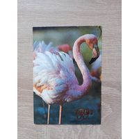 Календарик 1991