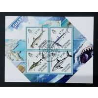 ФАУНА РЫБЫ МОРСКИЕ ОБИТАТЕЛИ    БЛОК  сто