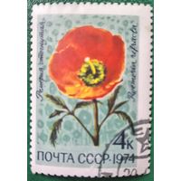 СССР 1974. Ремерия стогнутая. Марка из серии